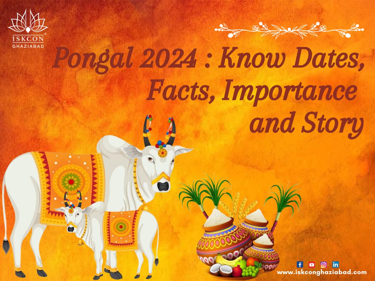 Pongal 2024 Know Dates, Facts, Importance and Story