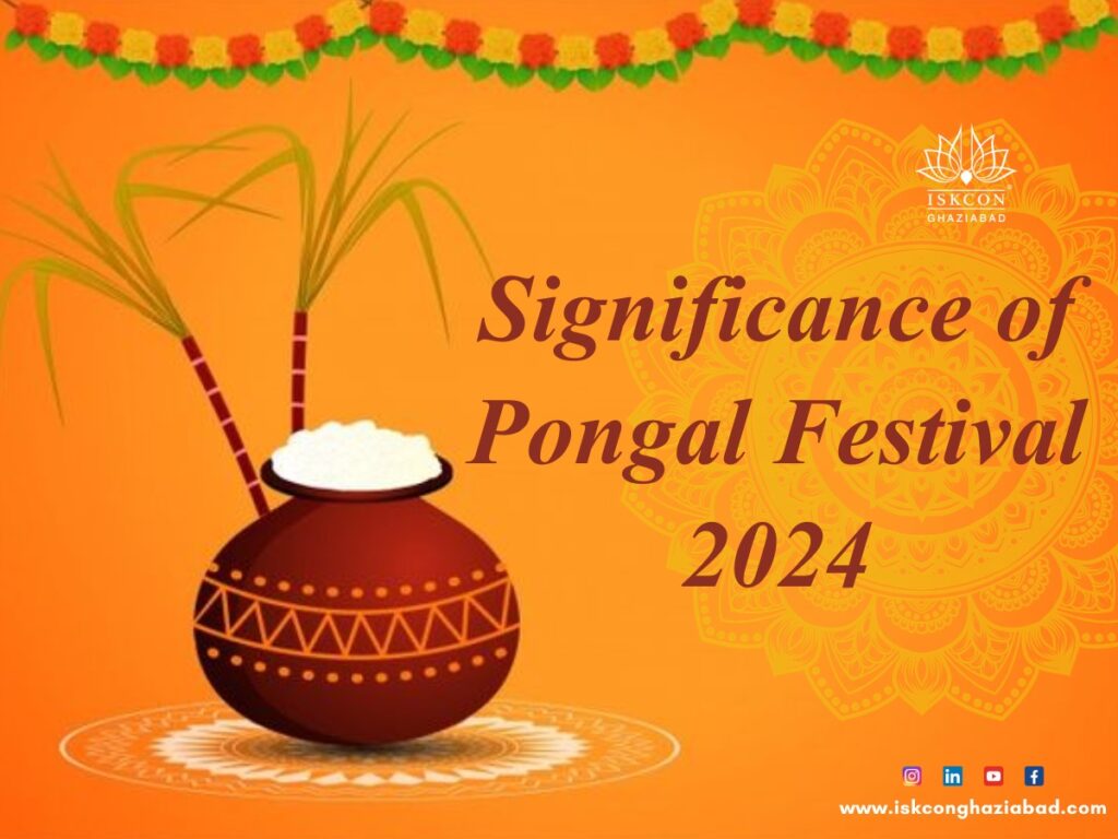Importance of Pongal 2024